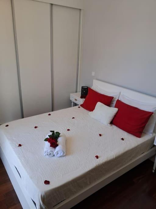 Appartement Atlantic Shore *